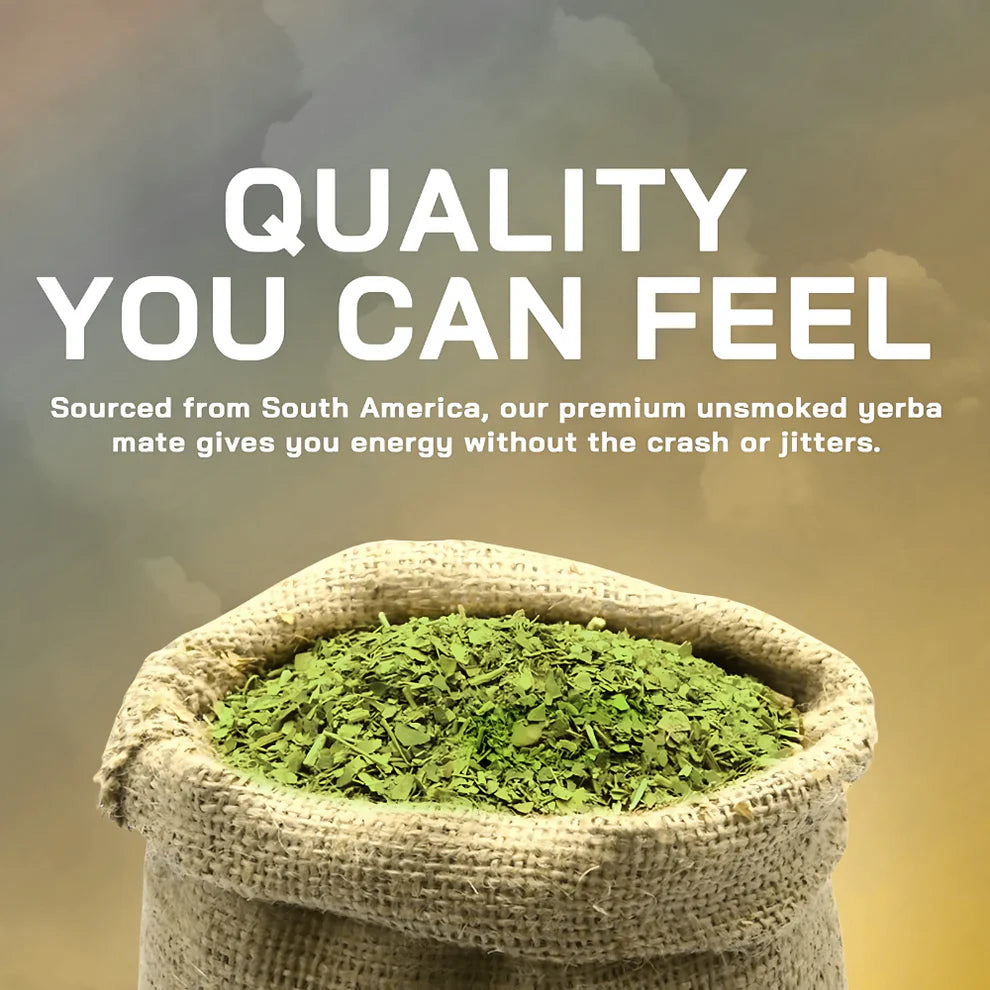 Natural Yerba Mate Energy Capsules – 60 Count