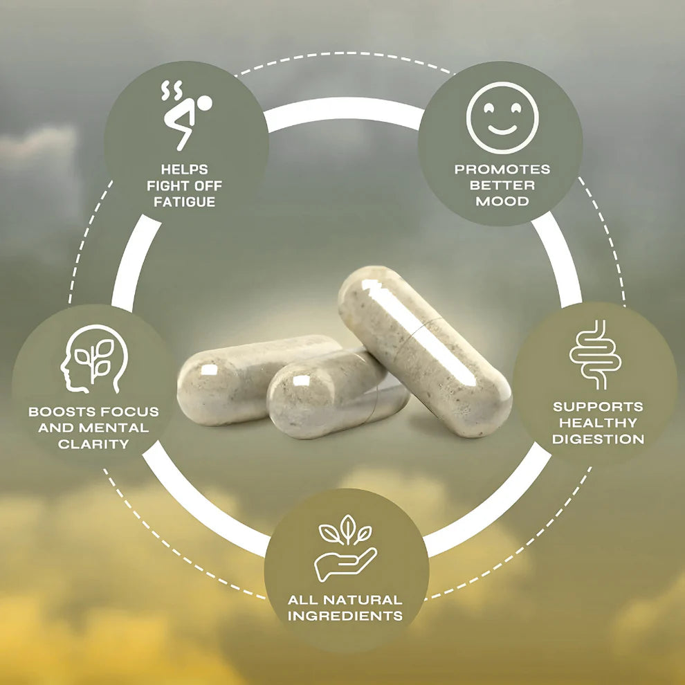 Natural Yerba Mate Energy Capsules – 60 Count